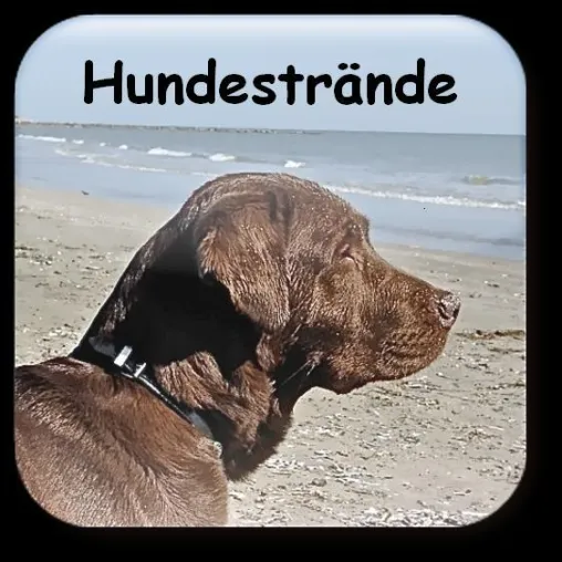 Bild: App mit allen Hundestränden