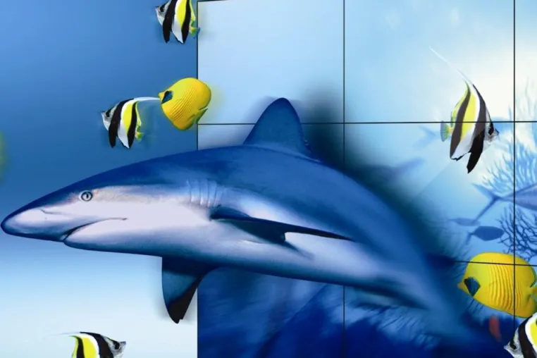 Bild: HYUNDAI IT präsentiert weltweit erste 138 Zoll 3D Videowand auf der ISE 2011 in Amsterdam