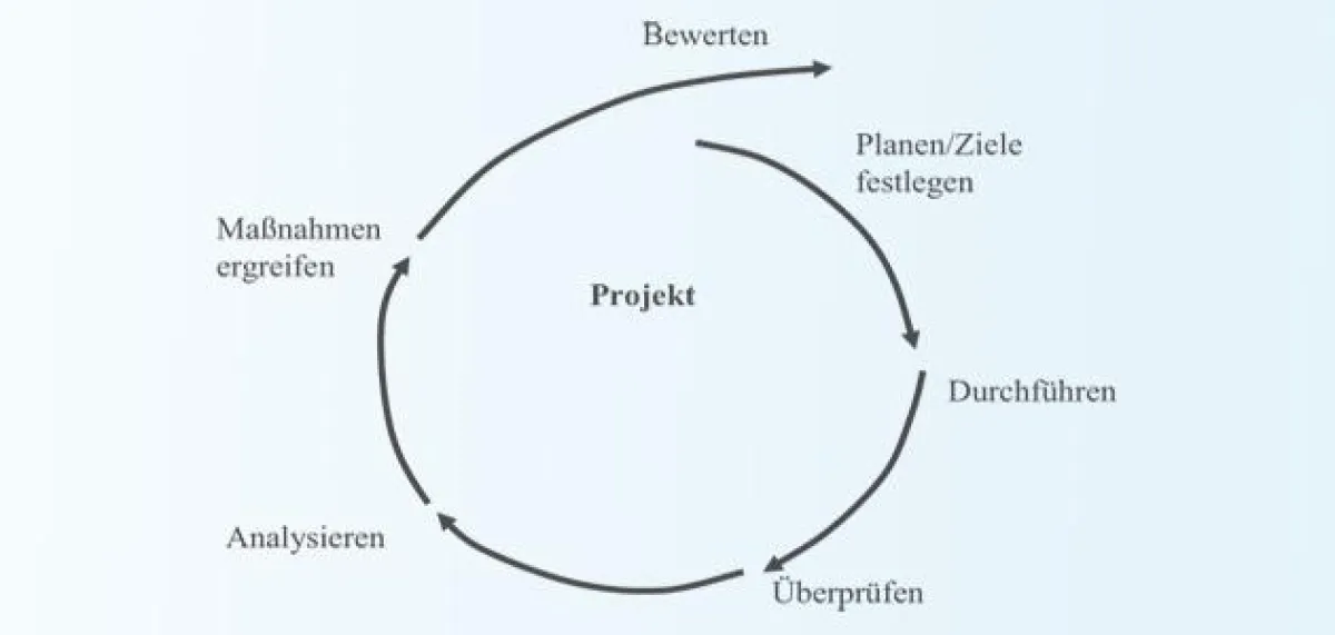 Projekt-, Prozess- und Qualitätsmanagement