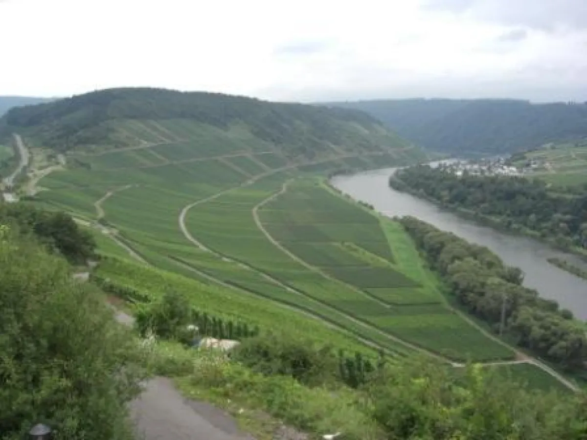 Weiter Blick vom Moselradweg