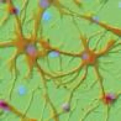 Bild: 3. Symposium e-Health & Health Communication "e-Health aus Sicht von Anwendern und Industrie"