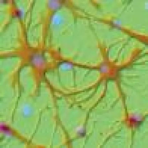 Bild: 3. Symposium e-Health & Health Communication "e-Health aus Sicht von Anwendern und Industrie"