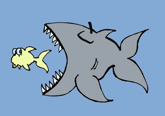 Bild: Nachfolgeplanung und Investorensuche für KMU im IT-Sektor