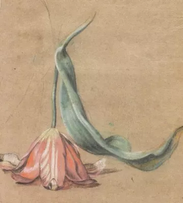 Bild: 40.000 Euro für einen Strauß Blumen - Ketterer Kunst versteigert seltenes Florilegium