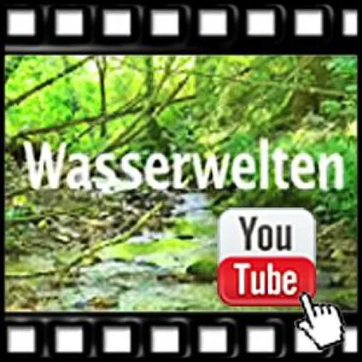 Bild: "Wasserwelten" - weiter Wasser sparen oder nicht?