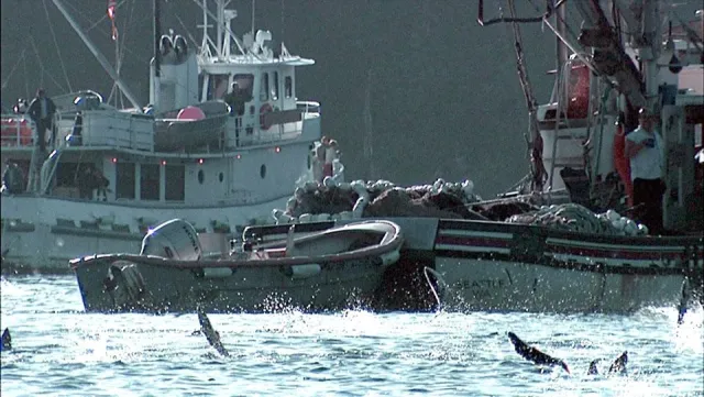 Bild: Bundesweite Kinofilm-Bildungskampagne und DVD-Start: DIE UNBEQUEME WAHRHEIT ÜBER UNSERE OZEANE