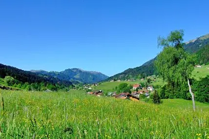 Natur ist Trumpf: Frühlingszeit ist Kräuterzeit in der Ferienregion Alpsee-Grünten Bild: Natur ist Trumpf: Frühlingszeit ist Kräuterzeit in der Ferienregion Alpsee-Grünten