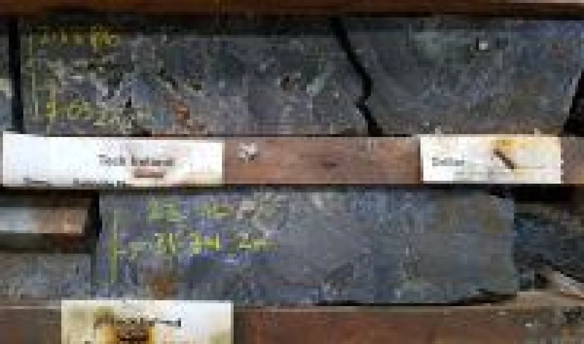 Bohrkerne; Foto: Group Eleven Resources