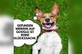 Und wenn es bei Ihnen (noch) nicht so läuft – wir sind für Sie da: www.Marketing-Nastasi.de