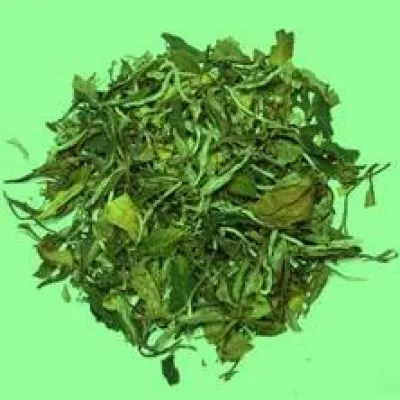 Bild: Weisser Tee ist gesundheitsfördernd