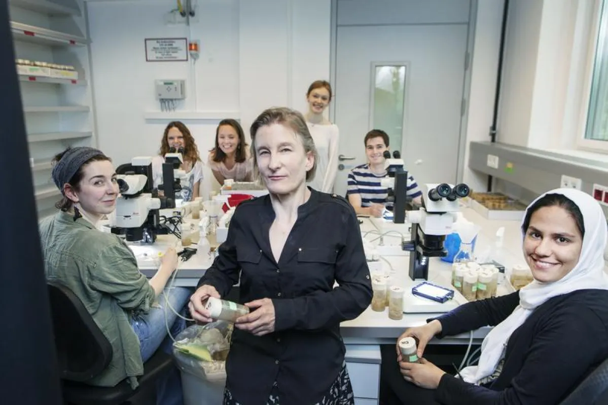 Die Forschungsgruppe um Daria Siekhaus wird in ihrem neuen Projekt die Bildung von Metastasen untersuchen.  (IST Austria/Reiner Riedler)