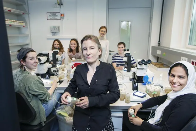 Bild: Neues Projekt zur Untersuchung der Rolle eines neuen Proteins in der Metastasierung