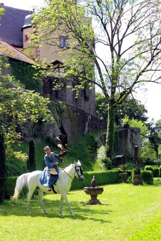 Flugvorführungen zu Pferde auf Burg Gamburg