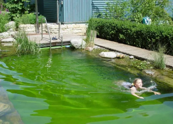 Bild: Der Wassergarten – Badespaß im Naturteich