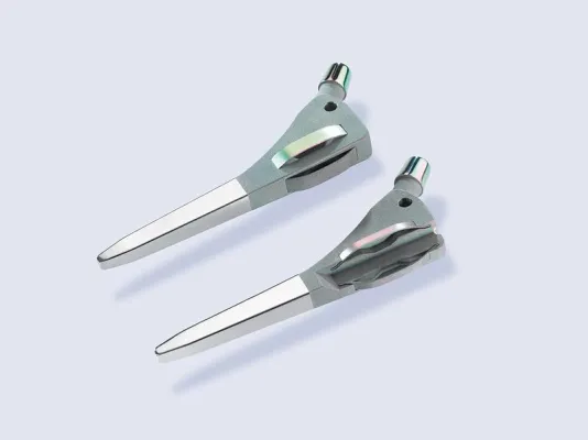 Life-long implants – vision and state of the art Bild: Life-long implants – vision and state of the art