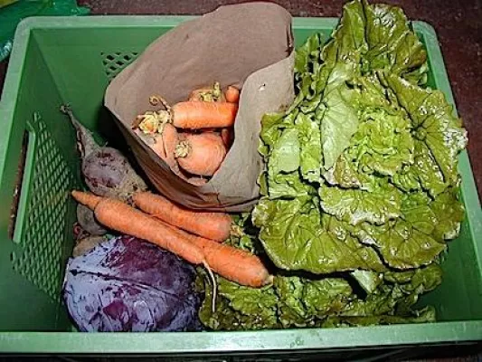 Bild: Die „Pütter Gemoösekist“ bringt´s