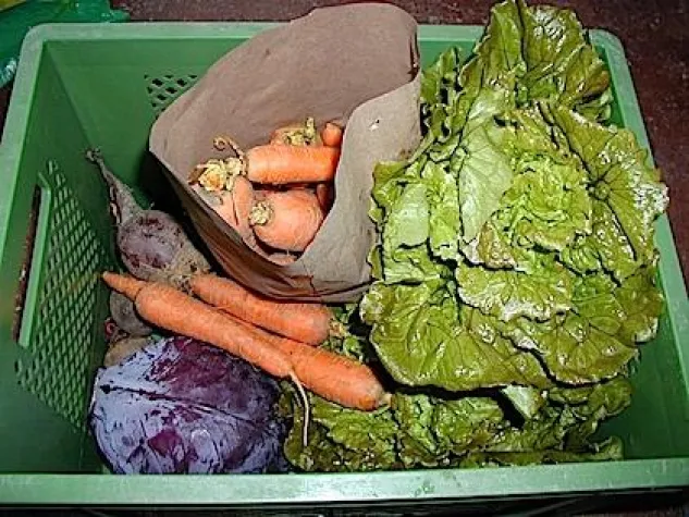 Bild: Die „Pütter Gemoösekist“ bringt´s