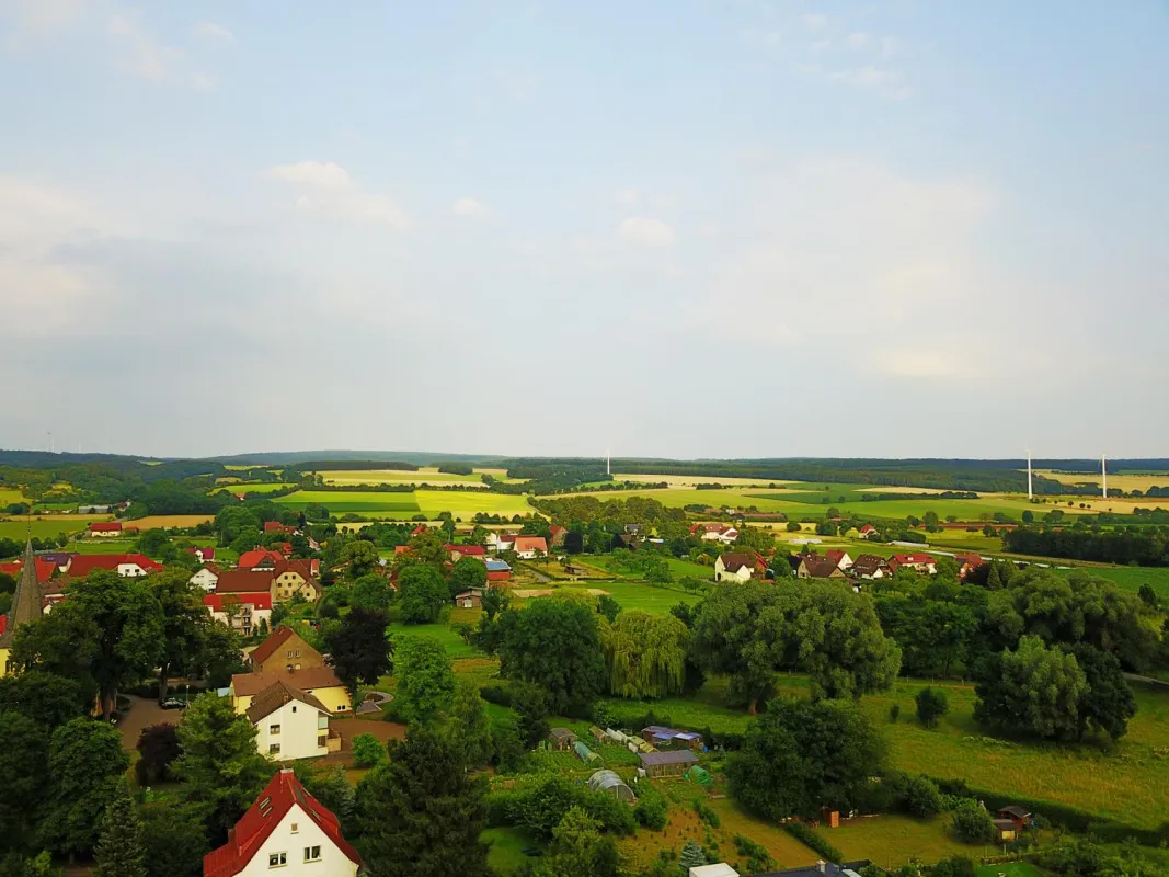 Die Pastorenwiese wäre für ein Bürgerpark ideal