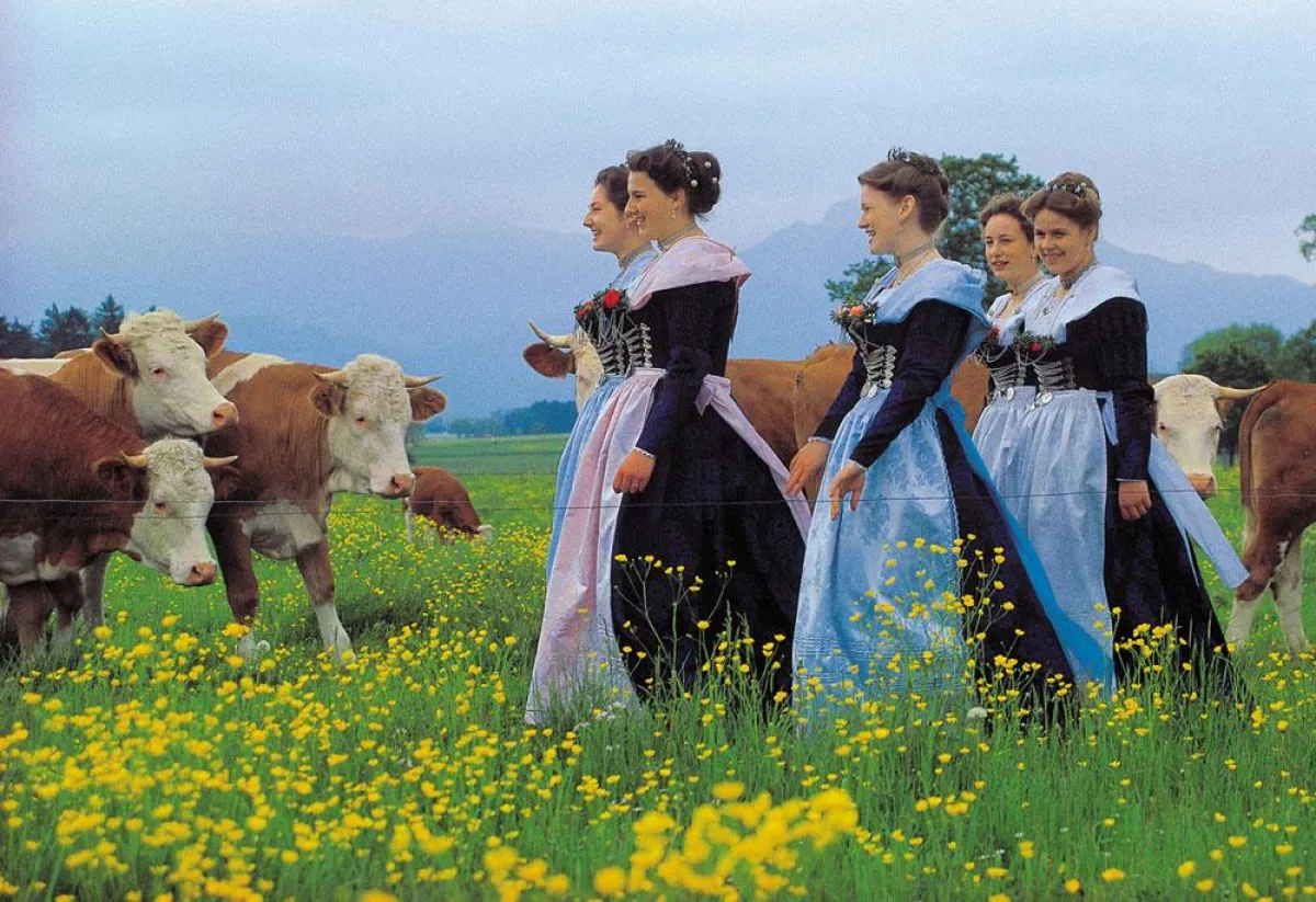 Die Rosenheimer Madln bald im Schottenlook?