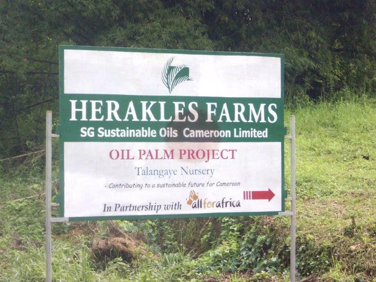 Bald geht's los: Urwaldrodung für angeblich nachhaltiges Palmöl