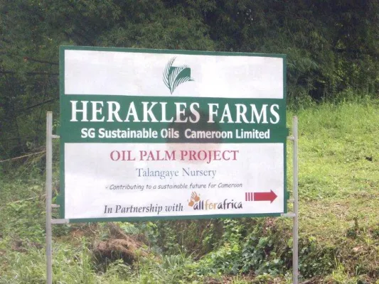 Bild: Die Bulldozer sind angerückt