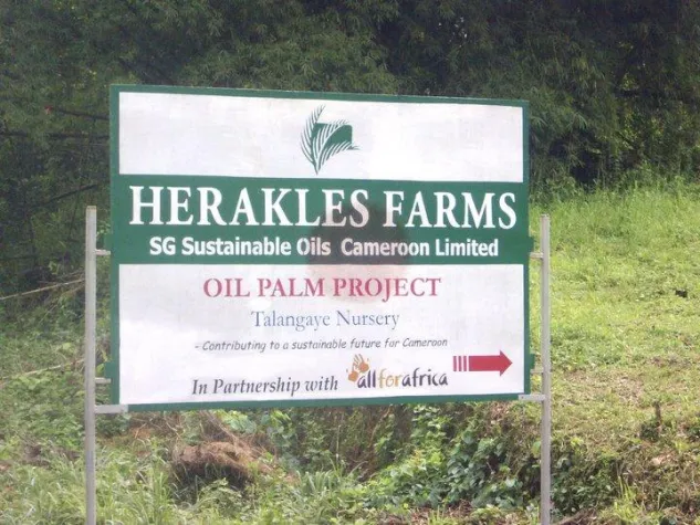 Bild: Die Bulldozer sind angerückt