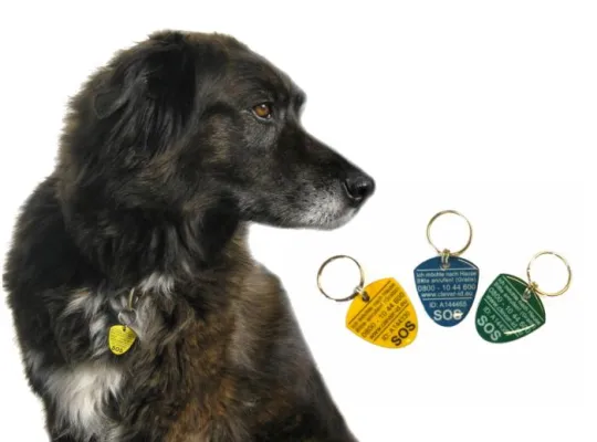 Bild: Neue Tierfundmarke für Hunde und Katzen - Jetzt im Fachhandel erhältlich