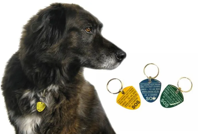 Bild: Neue Tierfundmarke für Hunde und Katzen - Jetzt im Fachhandel erhältlich