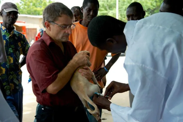 Bild: Machbarkeitsstudie zeigt, dass Tollwut in Afrika beseitigt werden kann