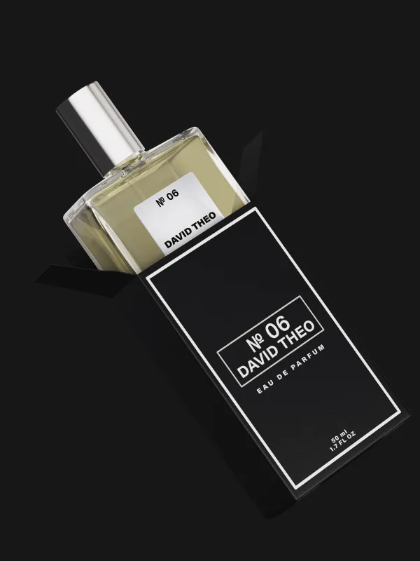 DAVID THEO NO. 06
