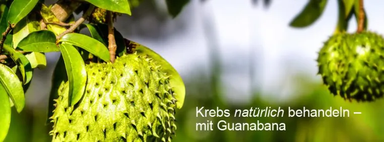Bild: Krebs natürlich behandeln - mit Guanabana