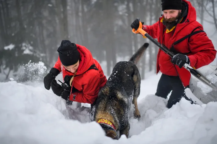 Bild: Katastrophenresilienz mit KI: Fraunhofer HHI leitet neue Globale Initiative