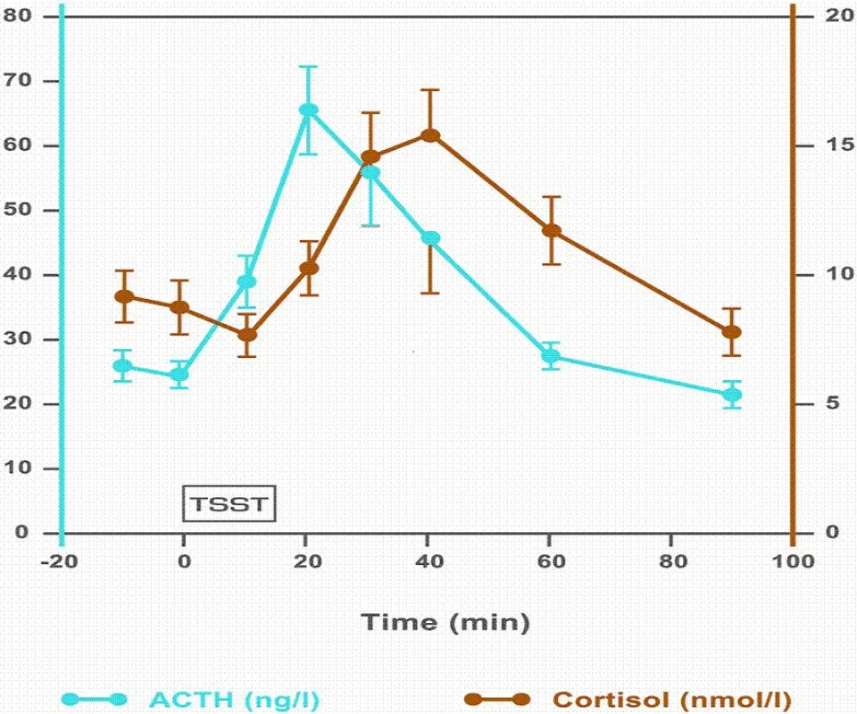 2 Stresshormone vor, während und nach dem Stresstest: Adrenocorticotropin (ACTH) und Cortisol