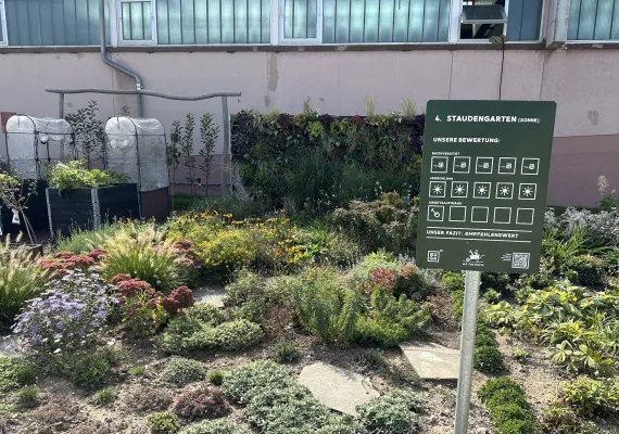 Bild: Alle Menschen können etwas für Artenvielfalt und Mikroklima vor Ort tun! 