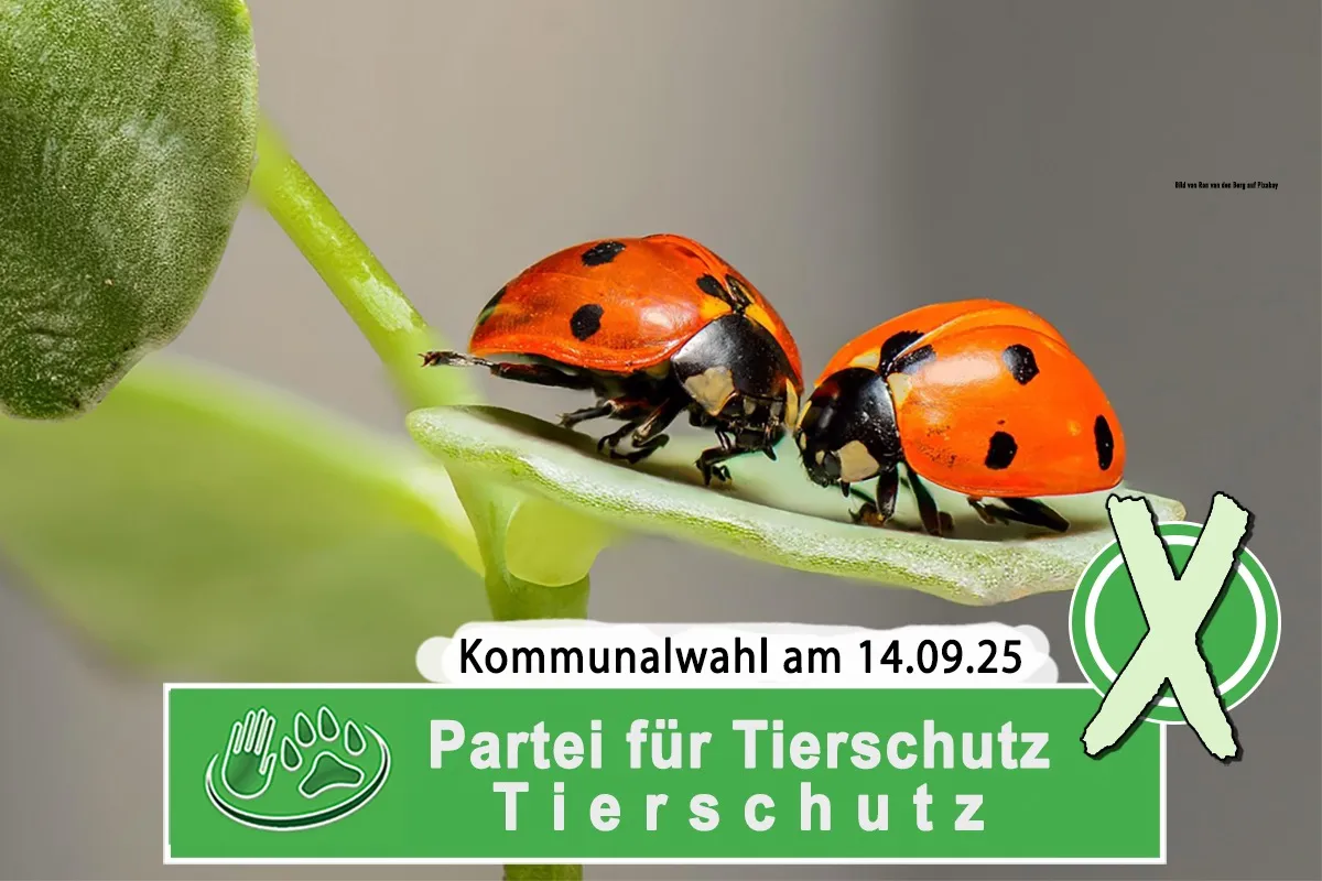 Chancen für den Tierschutz (© Bild von Ron van den Berg auf Pixabay)