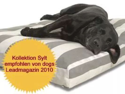 Bild: Orthopädische Hundebetten von Traumhund exklusiv in Österreich bei haushund.at