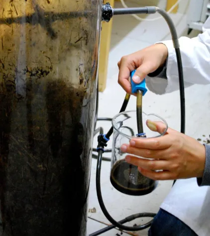 Versuche zur Feststoffvergärung im Batch-Verfahren Bild: Versuche zur Feststoffvergärung im Batch-Verfahren