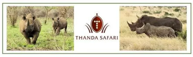Bild: Neu: Thanda Safari Rhino Tracking - Artenschutzprogramm im Zululand