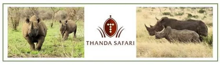 Neu: Thanda Safari Rhino Tracking - Artenschutzprogramm im Zululand Bild: Neu: Thanda Safari Rhino Tracking - Artenschutzprogramm im Zululand