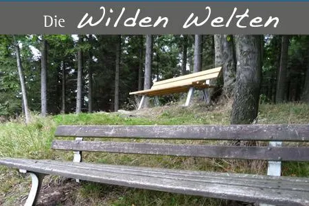 Bild: Samstag 04.04.2009 - Geführte Wanderung auf dem Hohen Knochen im Sauerland
