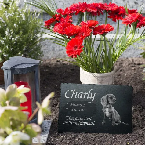 Bild: Die Welt auf einer Schieferplatte – Laser Memories