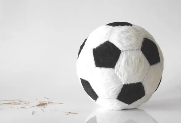 Berliner Designer präsentieren »Bella Alpina«, den Fußball aus Kuhfell Bild: Berliner Designer präsentieren »Bella Alpina«, den Fußball aus Kuhfell