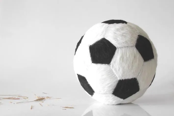 Bild: Berliner Designer präsentieren »Bella Alpina«, den Fußball aus Kuhfell