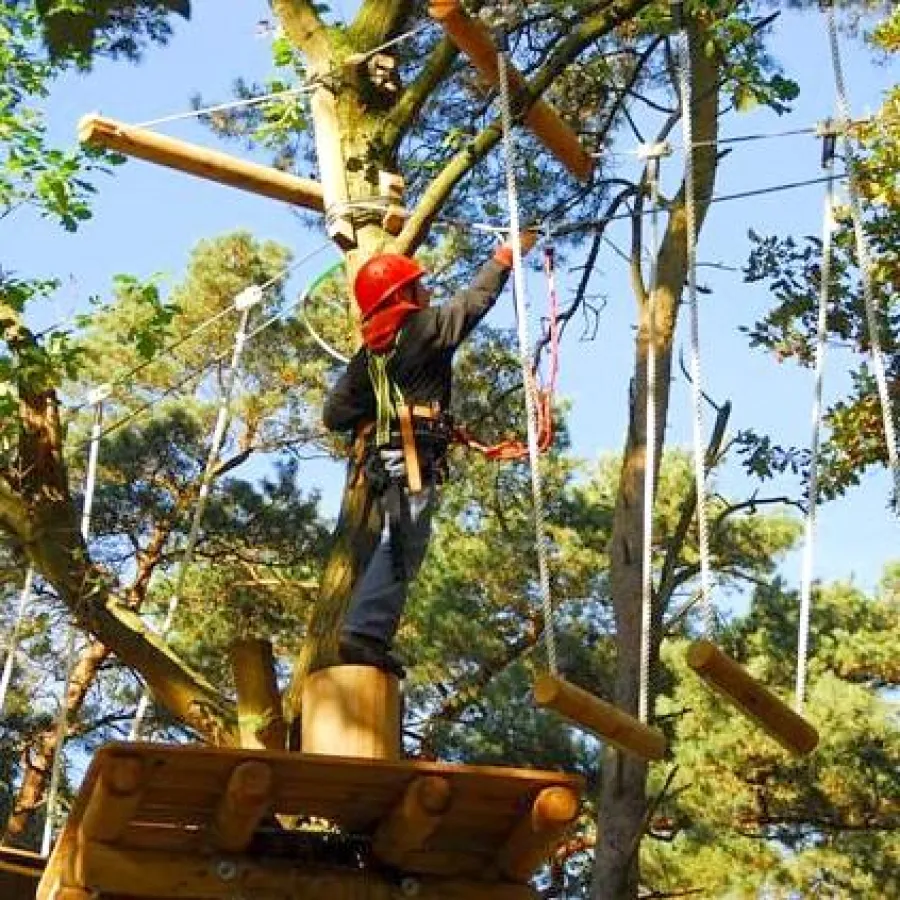 Für Großund Klein eignet sich der Kletterwald