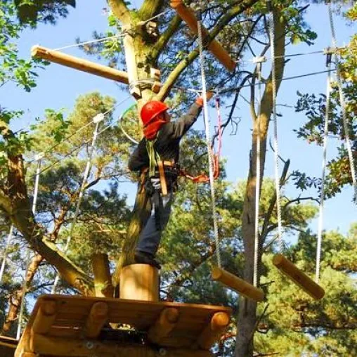 Saisonbeginn im Kletterwald Oldenburg-Hatten Bild: Saisonbeginn im Kletterwald Oldenburg-Hatten