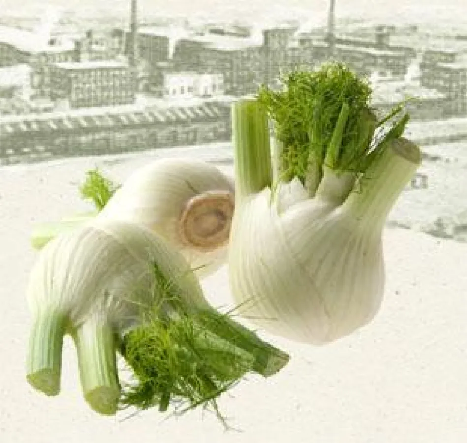 Biomarkt in der Baumwollspinnerei