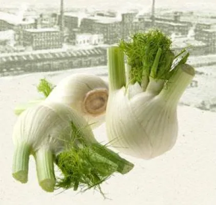 Bild: Eröffnung eines Biomarktes in Leipzig/Baumwollspinnerei