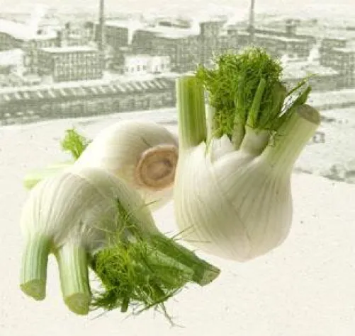 Bild: Eröffnung eines Biomarktes in Leipzig/Baumwollspinnerei