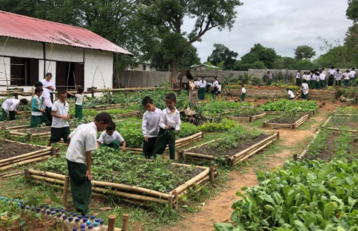 Gebeco Garten Projekt