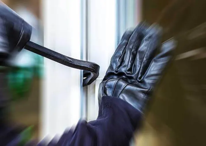Bild: Einbrecher müssen weg vom Fenster!